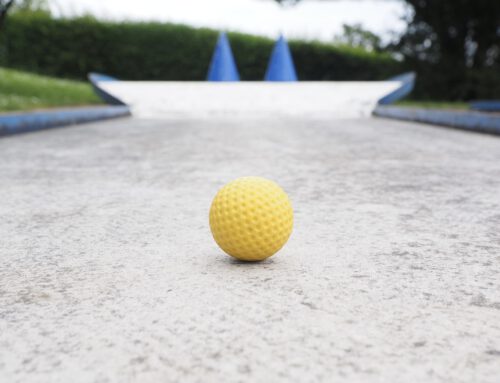 Untote Geschäftsmodelle (9): Minigolfplatz